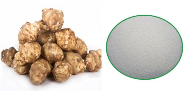 Topinambour pureté naturelle extrait d’inuline en poudre 95 %
