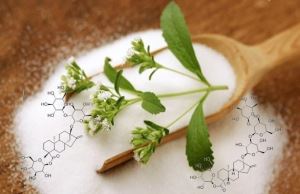 Extrait de Stevia Reb-A 99% / steviosides Rebaudioside A Produits / édulcorant naturel